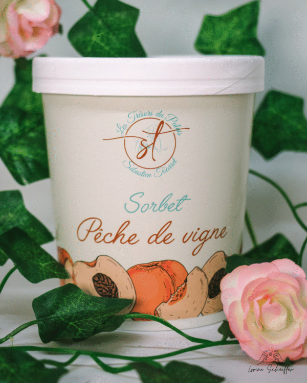 Sorbet