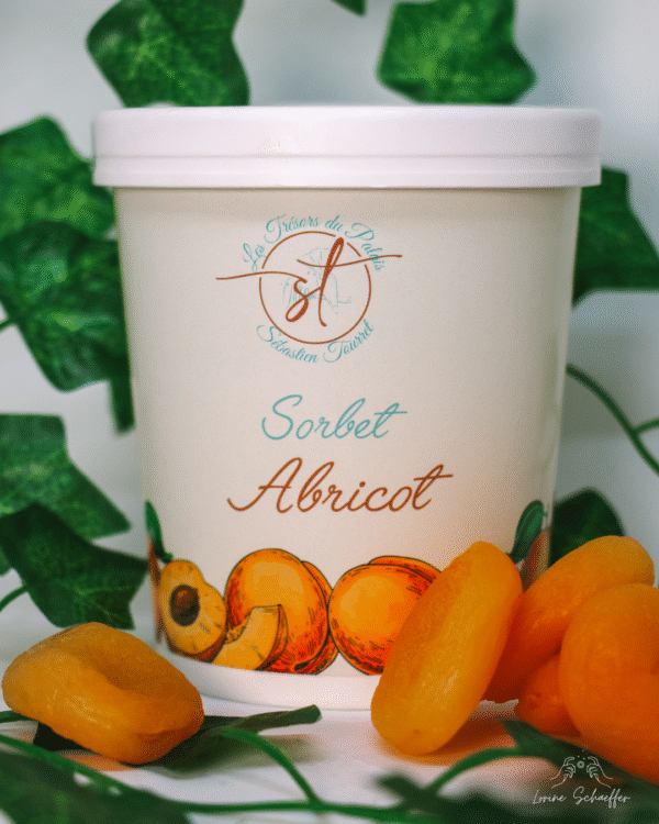 Sorbet